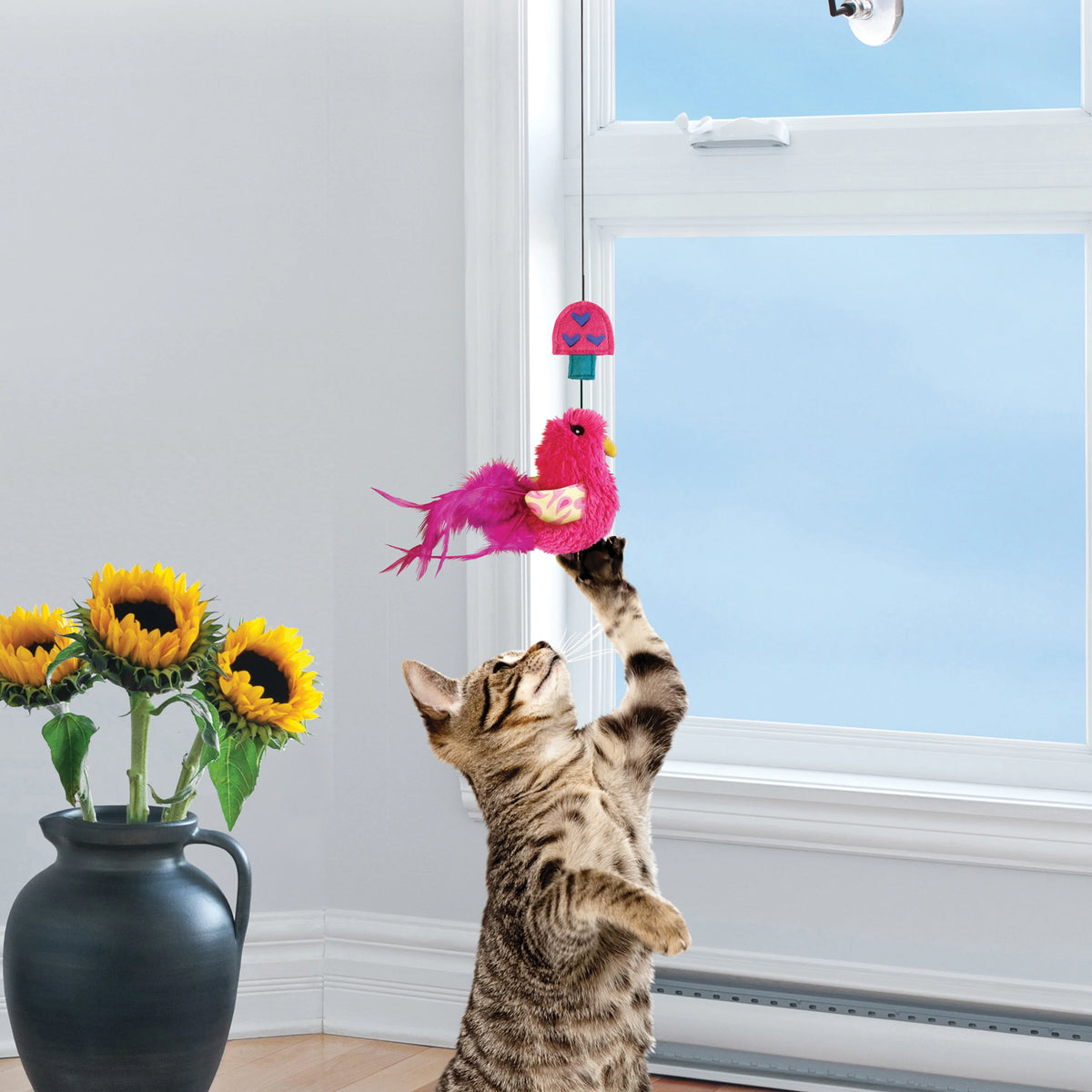 Kong - Gatos Connects Window Teaser Assorted