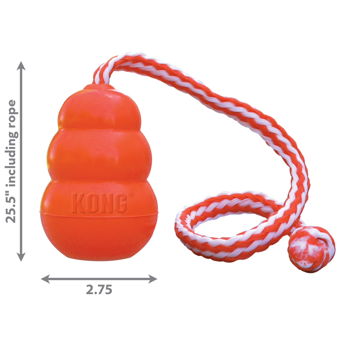 Kong - Perros Aqua