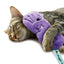 Kong - Gatos Comfort Valerian