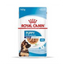Royal Canin - Perros Cachorros Grandes - Pouch