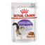 Royal Canin - Gatos Adultos Castrados - Pouch
