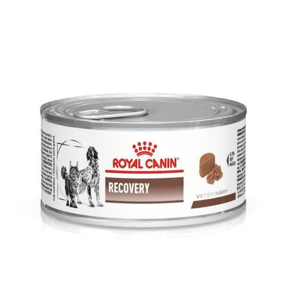 Royal Canin - Recovery - Lata