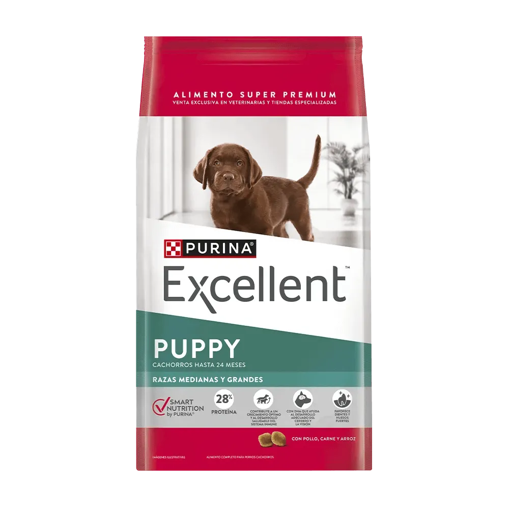Excellent - Perros Cachorros Medianos y Grandes