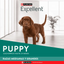 Excellent - Perros Cachorros Medianos y Grandes