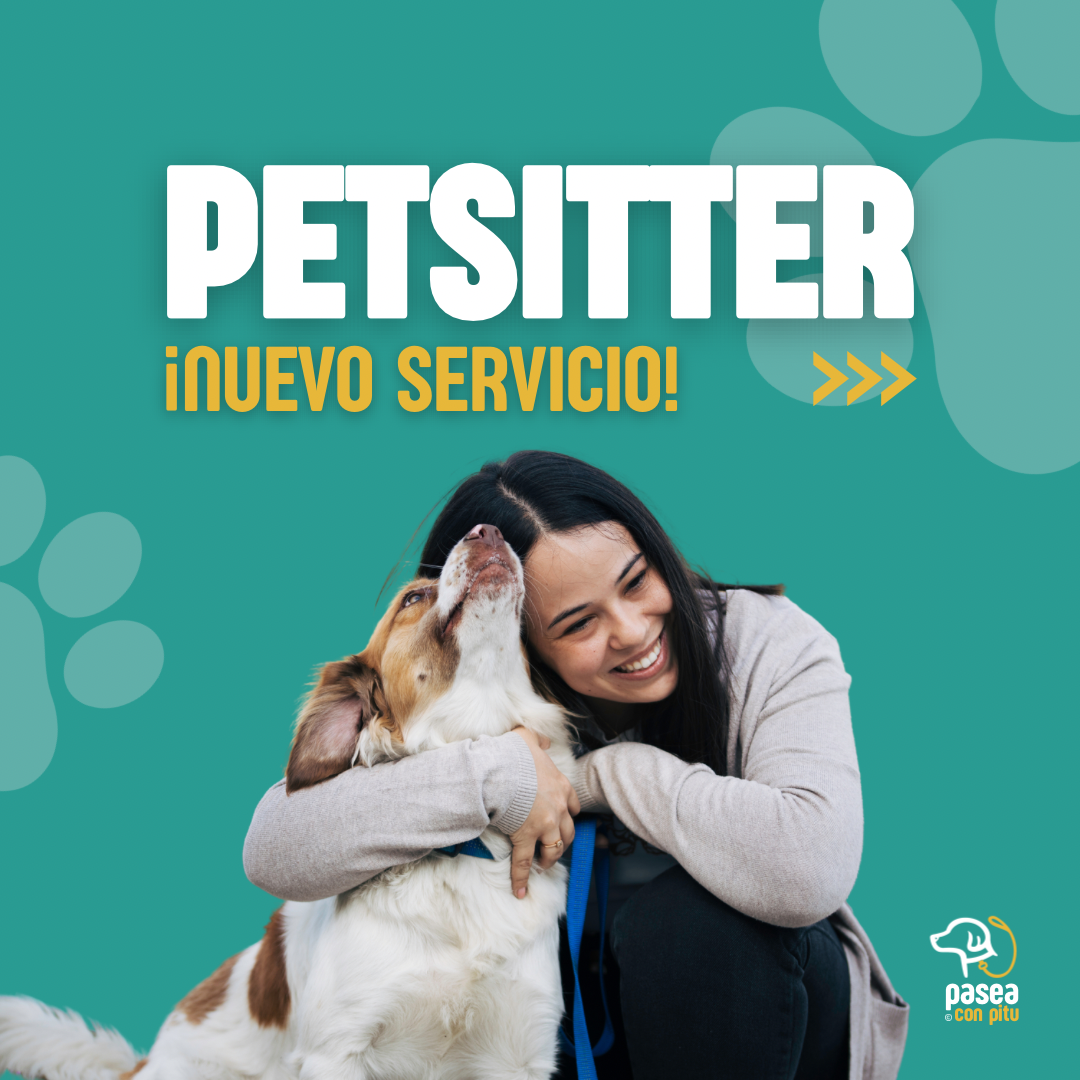 Pasea Con Pitu - Pet Sitter a Domicilio (Asunción, Lambaré, Luque y Fdo de la Mora). Visitas Sujetas a Disponibilidad.