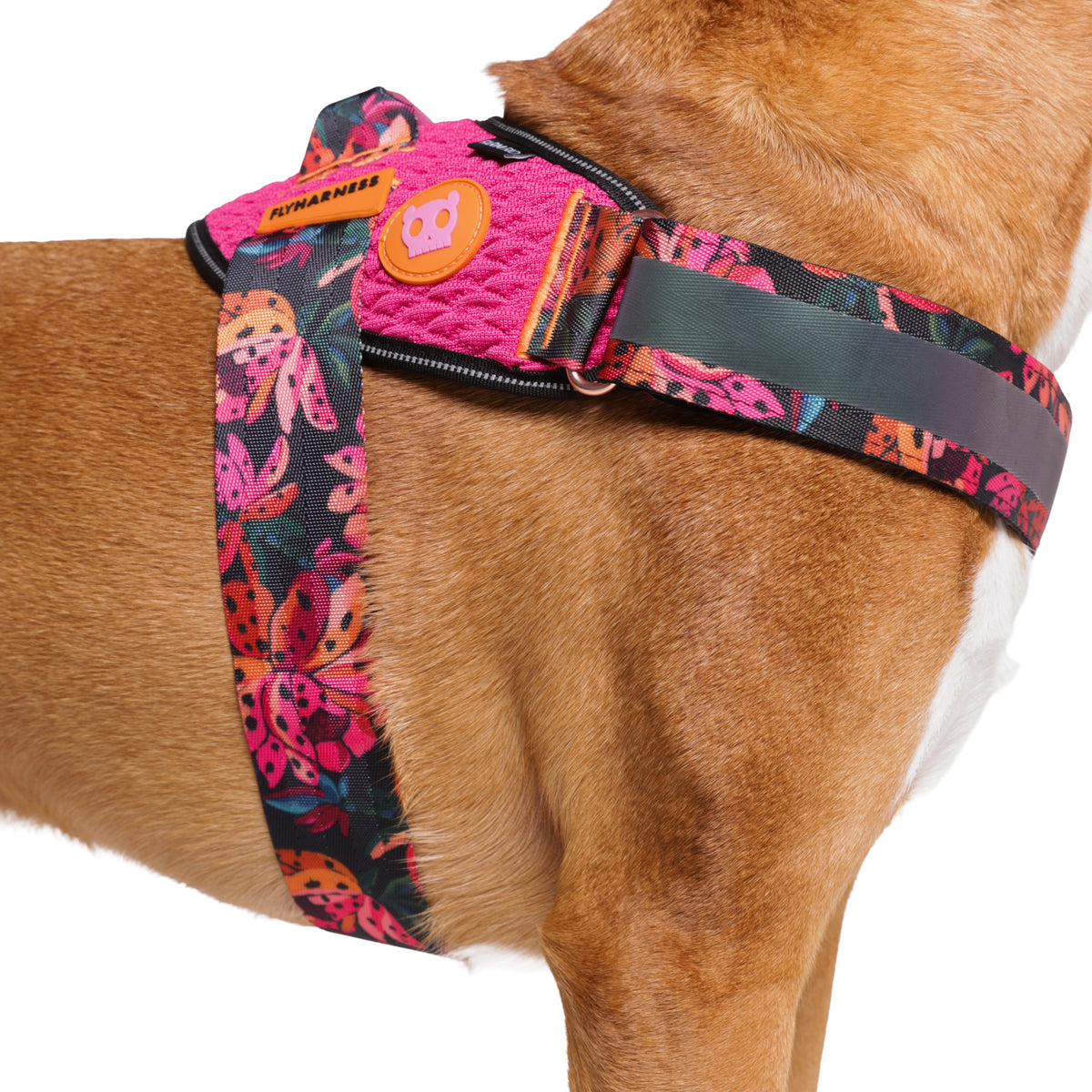Zeedog - Farm - Flyharness - Selva