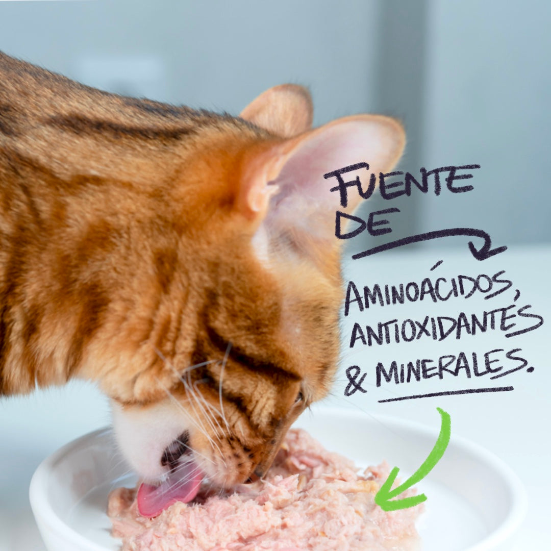 Barf Lick - Gatos 200 gramos - Pollo