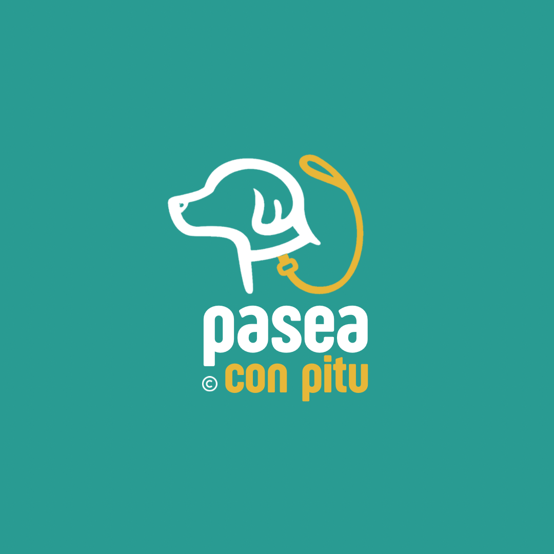 Pasea Con Pitu - Paseadores (Asunción, Lambaré, Luque y Fdo. de la Mora) - Turnos Sujetos a Disponibilidad.