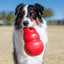Kong - Perros Adultos Juguete Bounzer