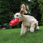 Kong - Perros Adultos Juguete Bounzer