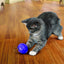 Kong - Gatos Dispensing Ball