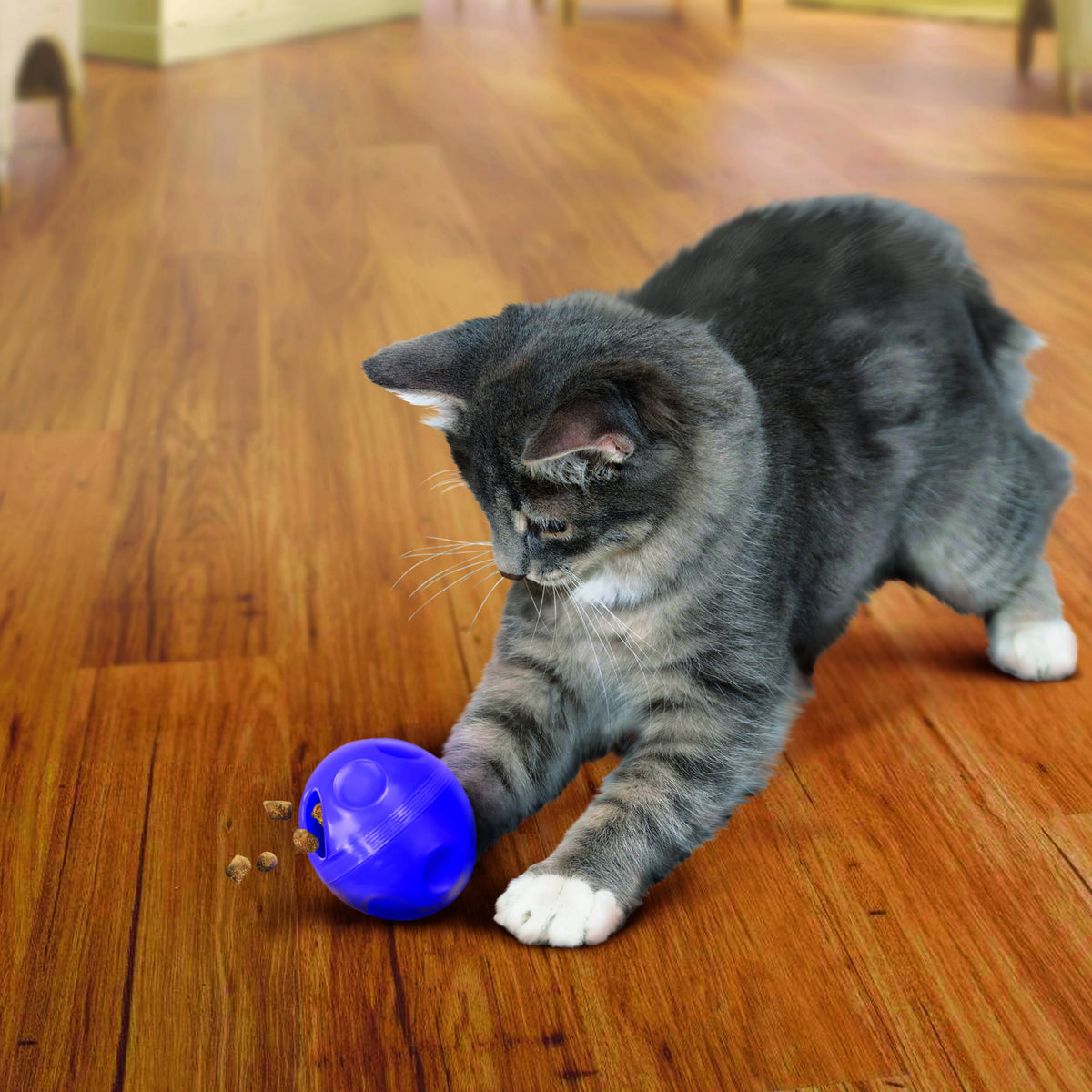 Kong - Gatos Dispensing Ball