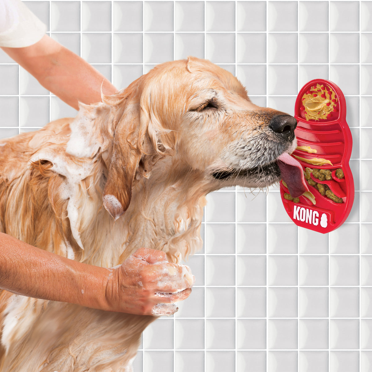 Kong - Perros Licks