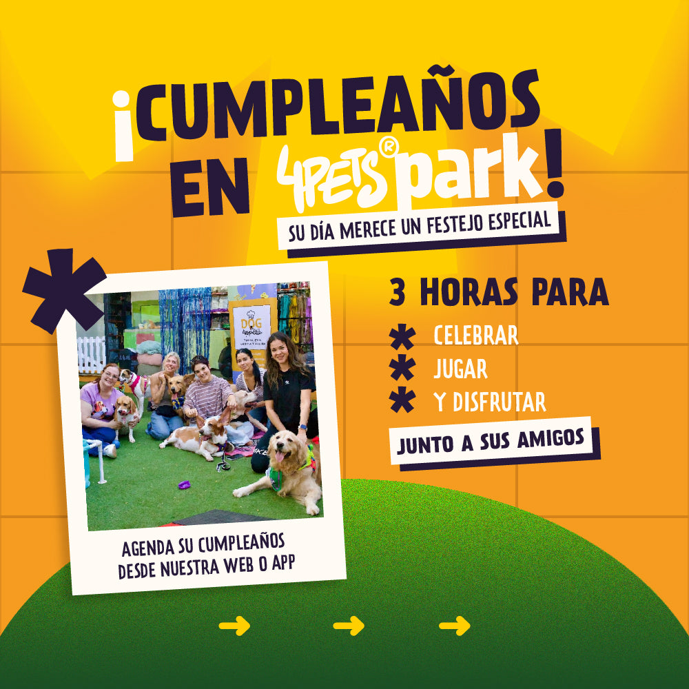 Cumpleaños Canino - 4Pets Park