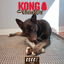 Kong - Perros Stick Chewstix Tough Femur