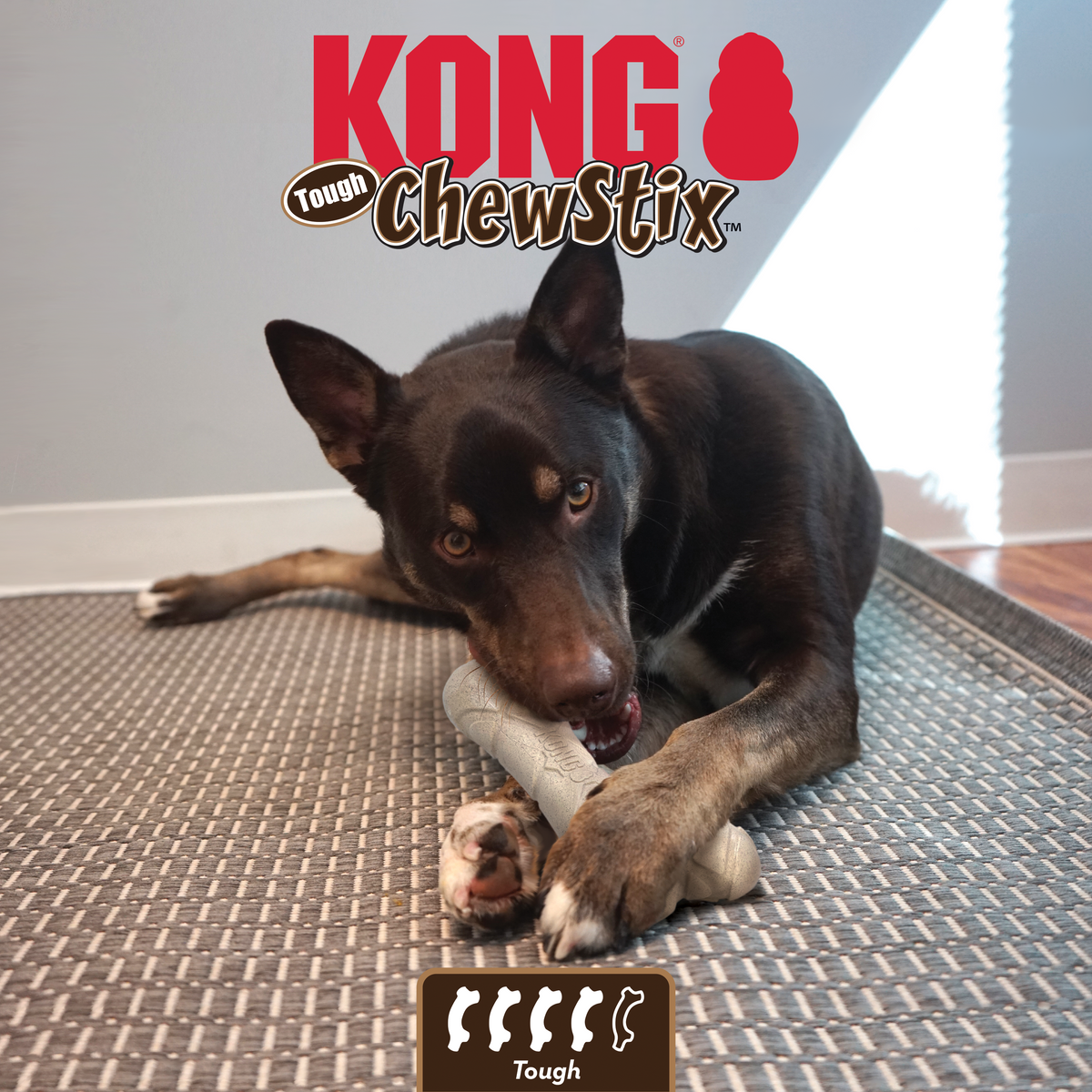 Kong - Perros Stick Chewstix Tough Femur