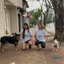 Pasea Con Pitu - Paseadores (Asunción, Lambaré, Luque y Fdo. de la Mora) - Turnos Sujetos a Disponibilidad.