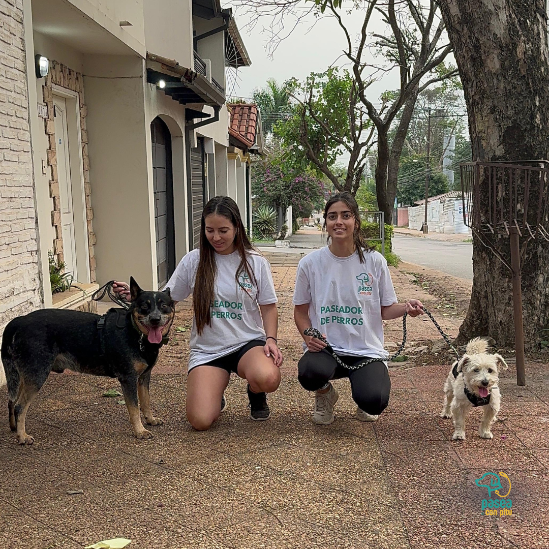 Pasea Con Pitu - Paseadores (Asunción, Lambaré, Luque y Fdo. de la Mora) - Turnos Sujetos a Disponibilidad.