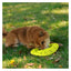 Kong - Perros Reflex Flyer
