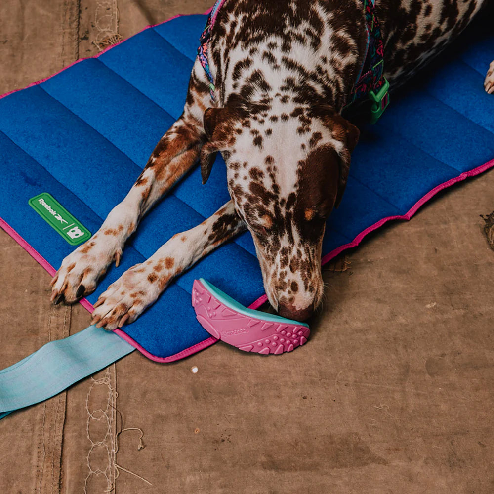 Zeedog - Perros Juguete Reebok Boomerang