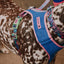 Zeedog - Perros Pechera Reebok Mesh Harness Aerobic
