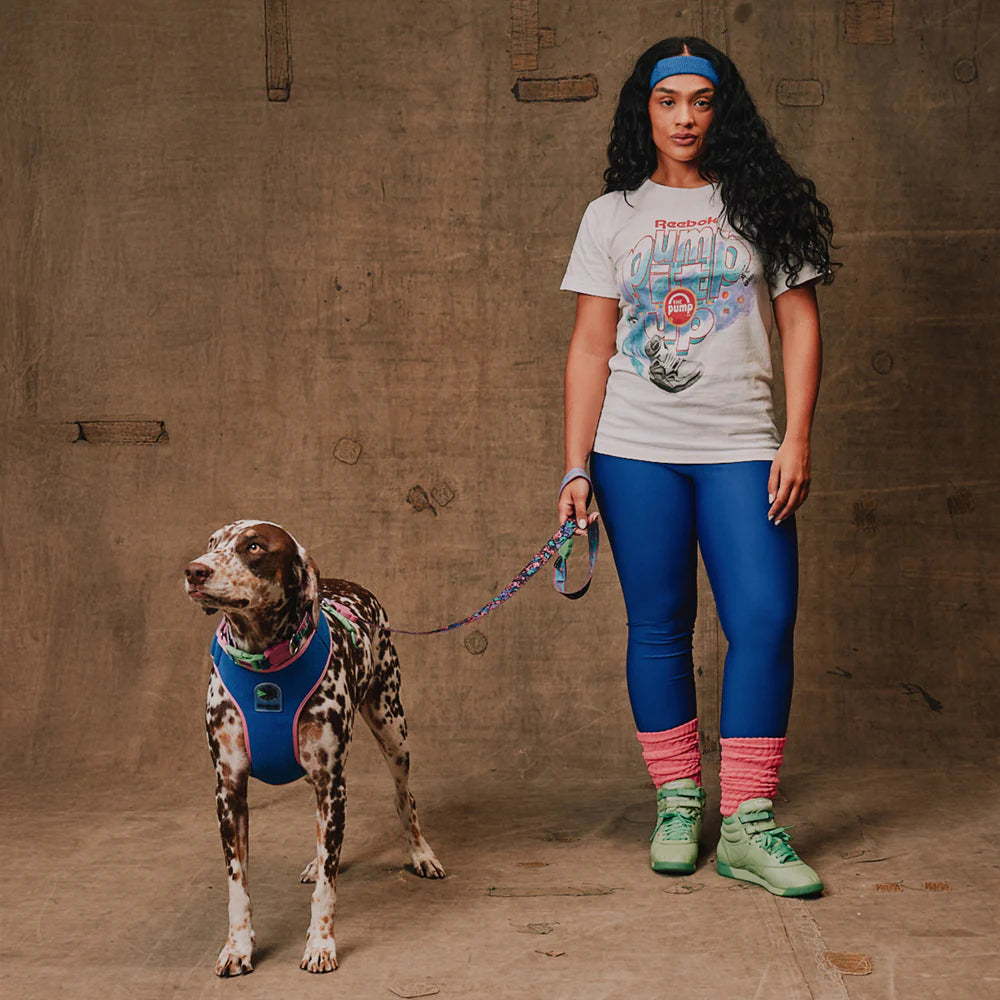 Zeedog - Perros Pechera Reebok Mesh Harness Aerobic