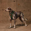 Zeedog - Perros Pechera Reebok Mesh Harness Trekk