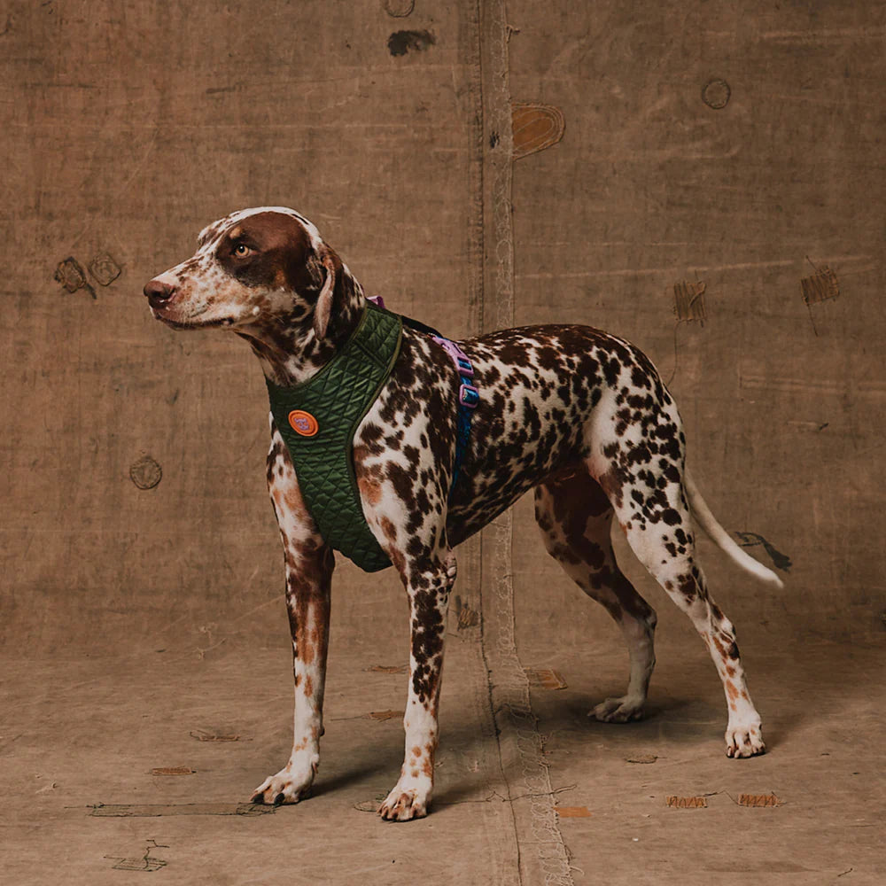 Zeedog - Perros Pechera Reebok Mesh Harness Trekk