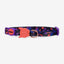Zeecat - Gatos Collar Reebok Court