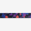 Zeecat - Gatos Collar Reebok Court