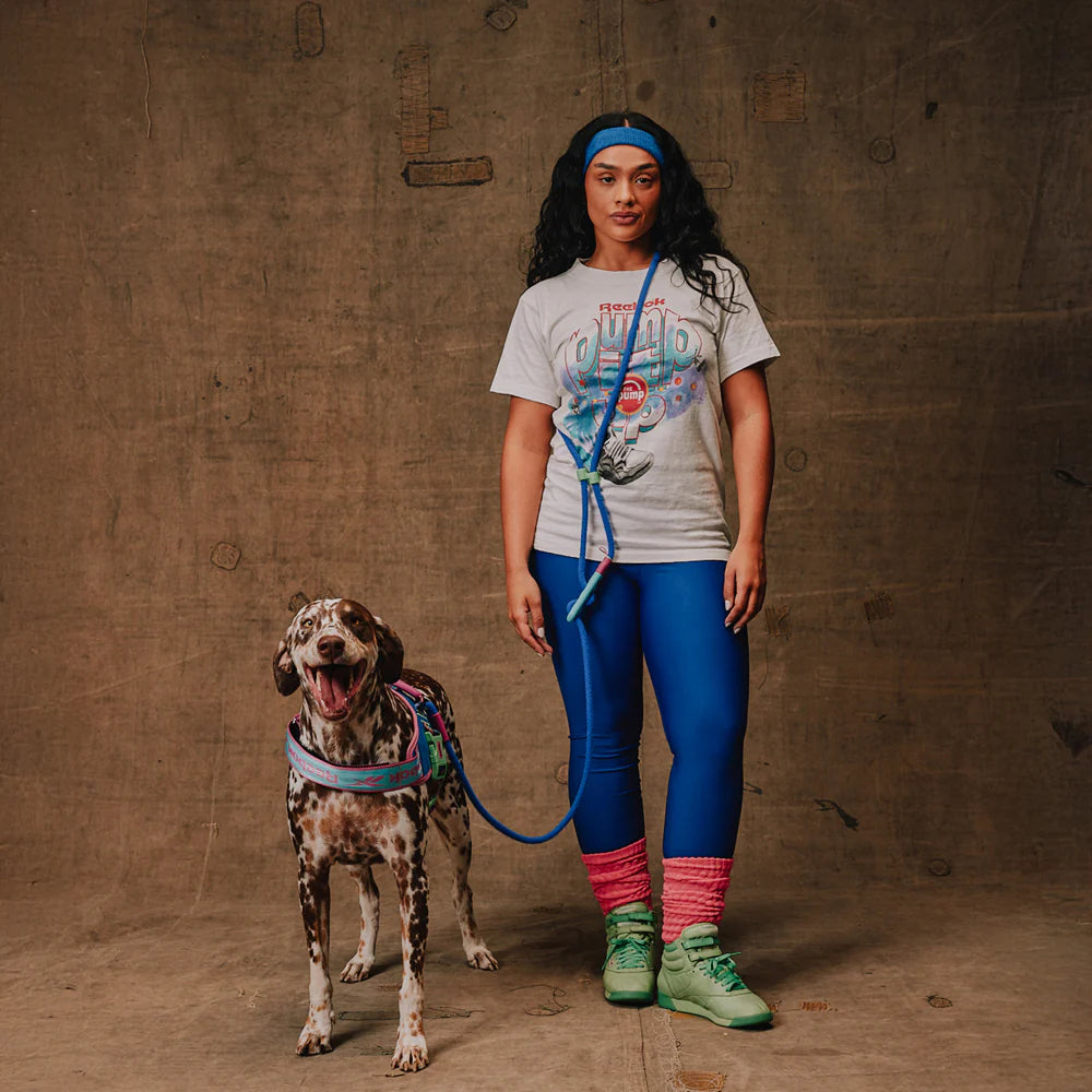 Zeedog - Reebok Aerobic Handsfree Leash  L