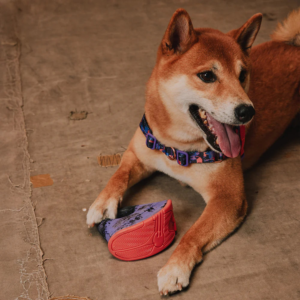 Zeedog - Perros Juguete Reebok Juguete Tug