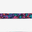 Zeecat - Gatos Collar Reebok Aerobic