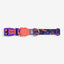 Zeedog - Perros Collar Reebok Court