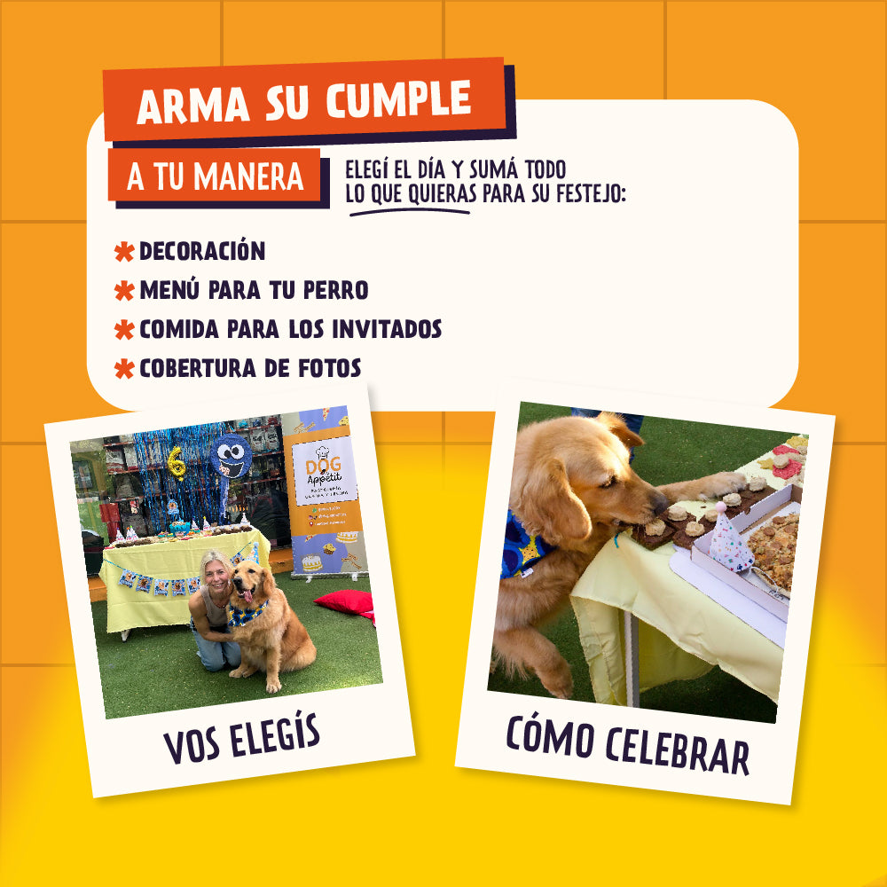 Cumpleaños Canino - 4Pets Park