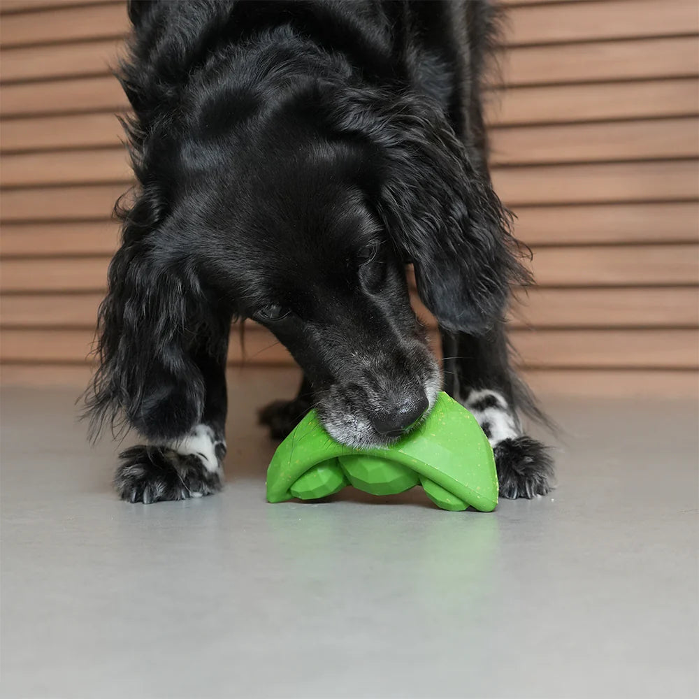 Zeedog - Perros Juguete Superveggiez Green Peas Kumanda