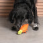 Zeedog - Perros Juguete Superveggiez Carrot Zanahoria