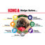 Kong - Perros Adultos Classic