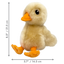 Kong - Pato Toughz