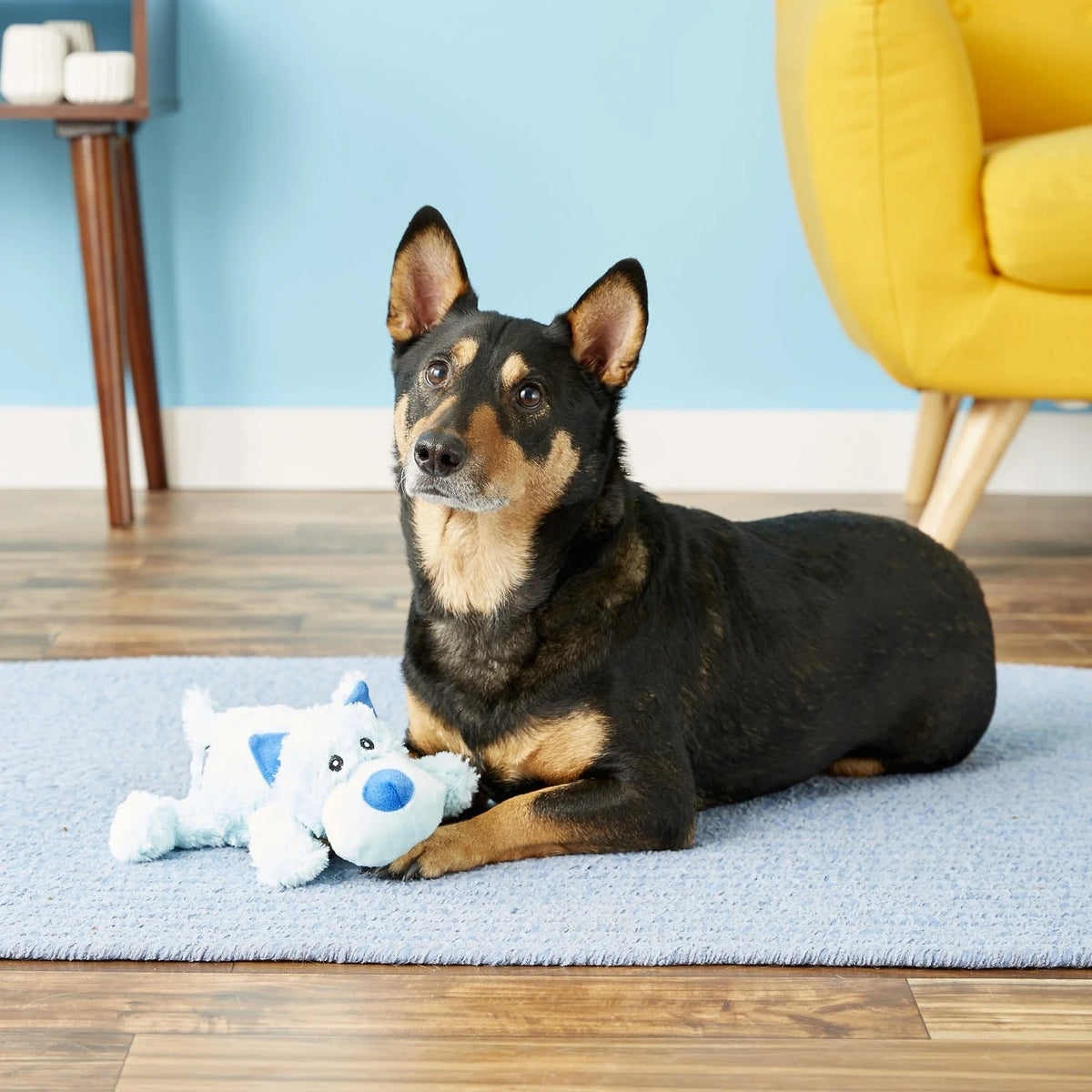 Kong - Perros Cozie Baily Perro