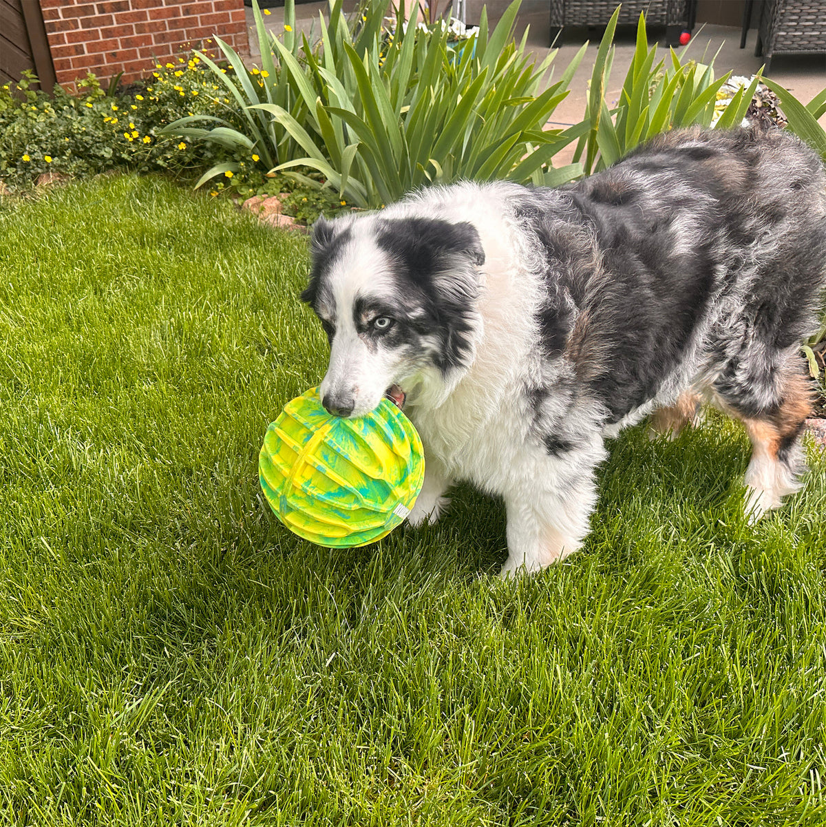 Kong - Perros Flexball Sport Ball
