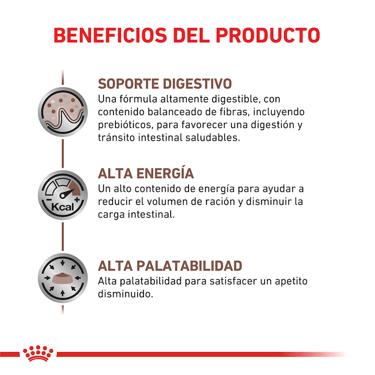 Royal Canin - Perros Adultos Cuidado Gastrointestinal - Lata