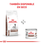 Royal Canin - Perros Adultos Cuidado Gastrointestinal - Lata
