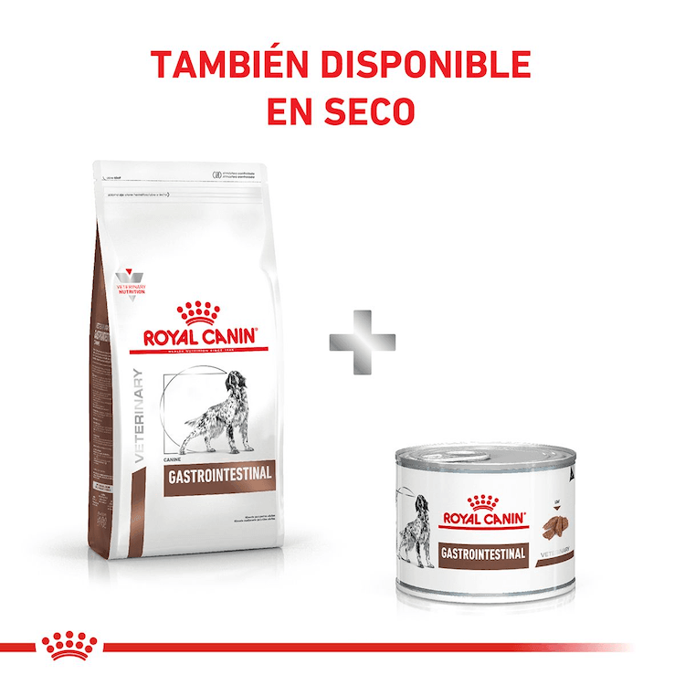 Royal Canin - Perros Adultos Cuidado Gastrointestinal - Lata