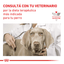 Royal Canin - Perros Adultos Cuidado Gastrointestinal - Lata