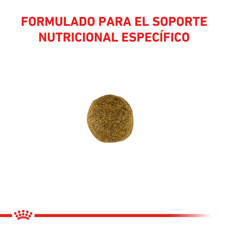 Royal Canin - Perros Adultos - Gastrointestinal
