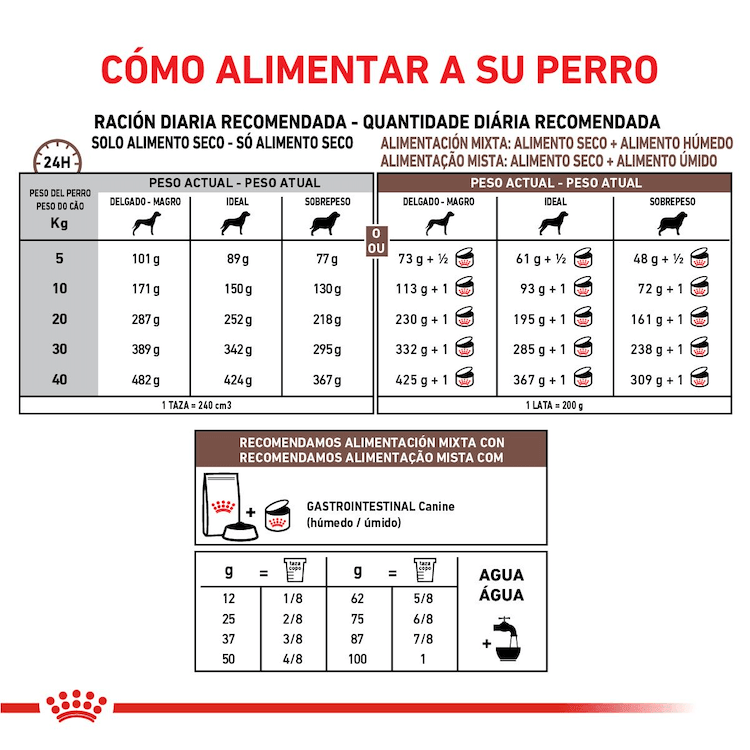 Royal Canin - Perros Adultos - Gastrointestinal