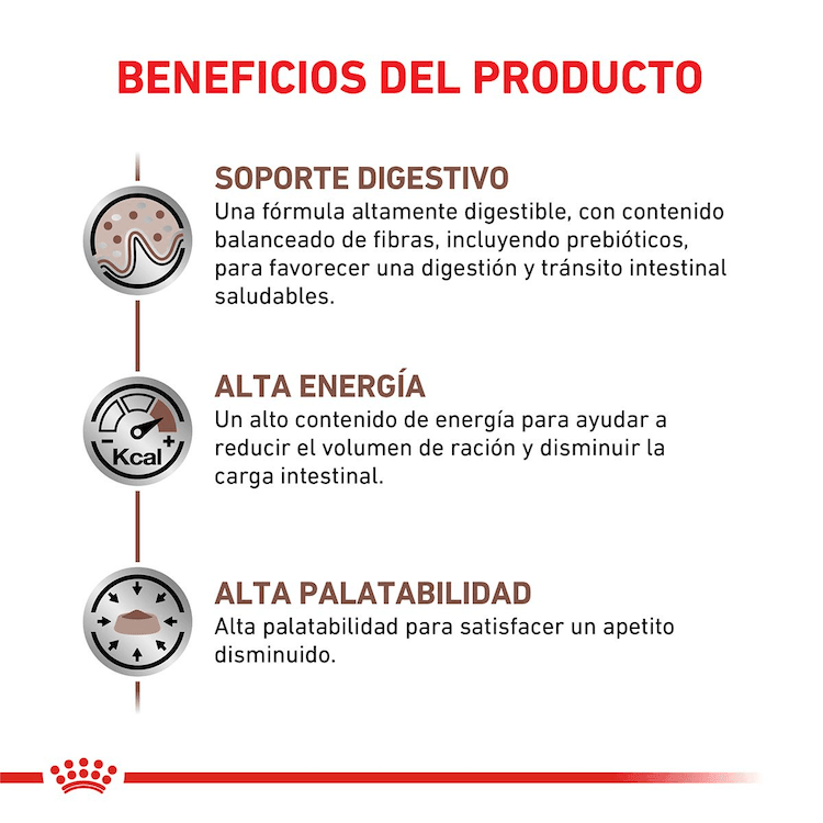 Royal Canin - Gatos Adultos - Gastrointestinal - Pouch