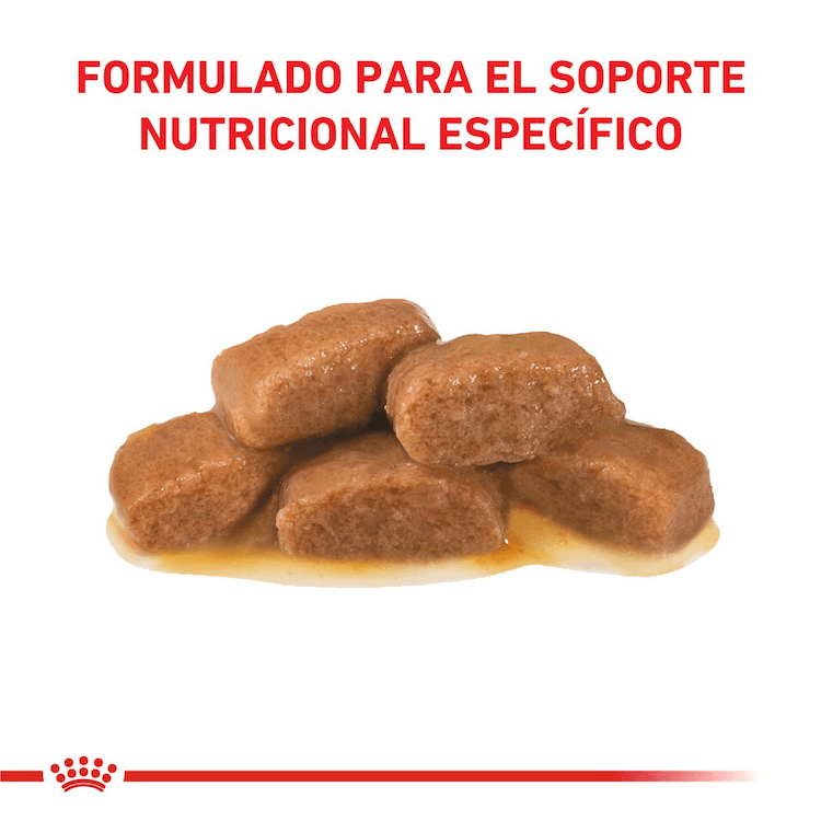Royal Canin - Gatos Adultos - Gastrointestinal - Pouch