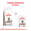 Royal Canin - Gatos Adultos - Gastrointestinal - Pouch